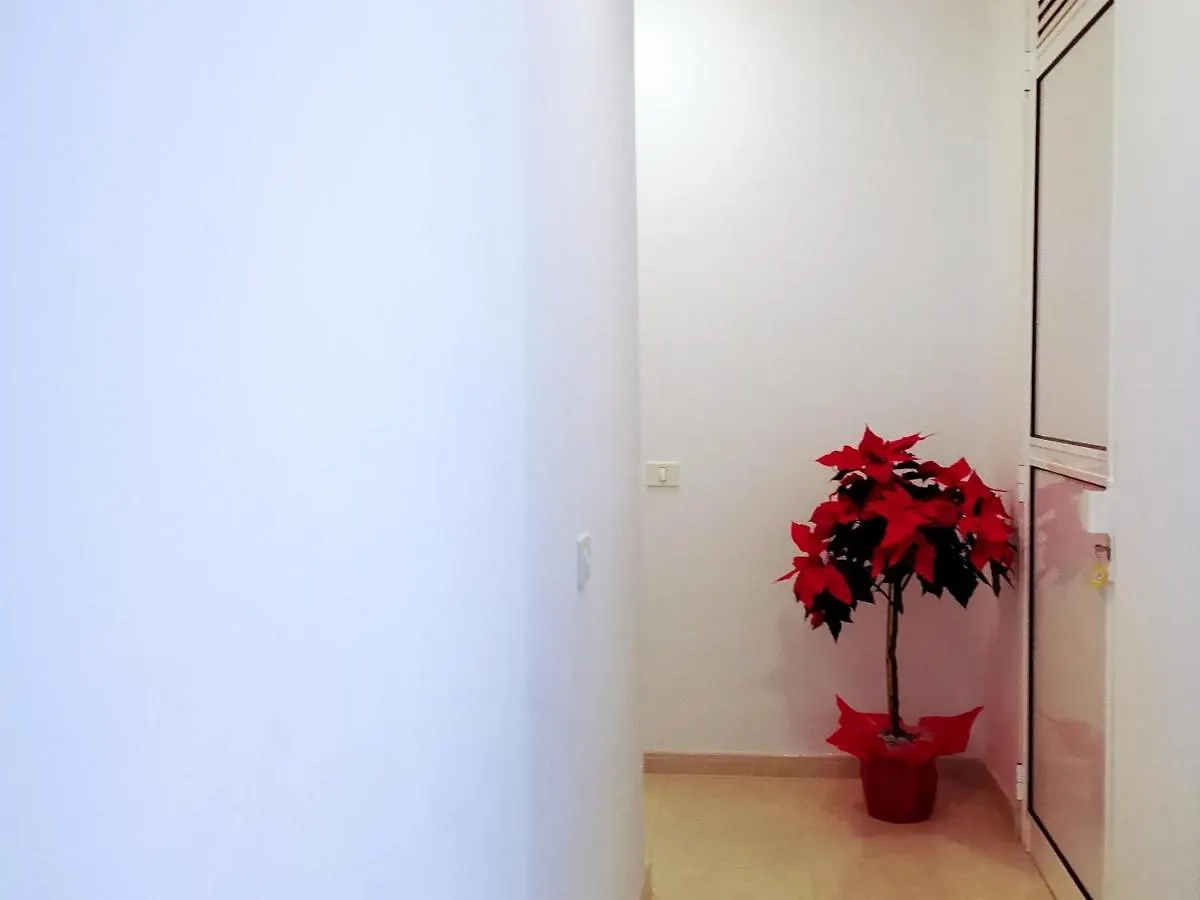 Appartement Puesta De Sol Rentals 3Dr Playa de San Juan  Spanje